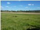 101 Homestead Road, Kyogle NSW 2474