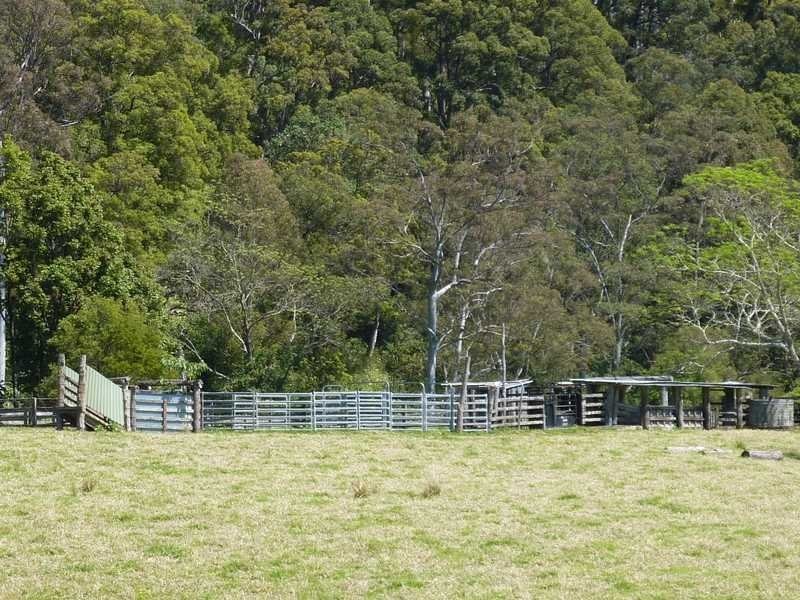 1125 Green Pigeon Road, Green Pigeon Via, Kyogle NSW 2474