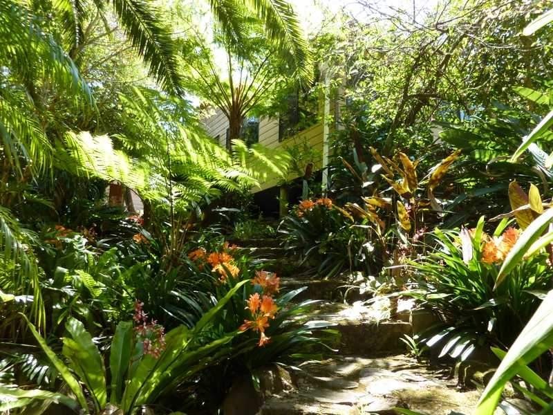 1125 Green Pigeon Road, Green Pigeon Via, Kyogle NSW 2474