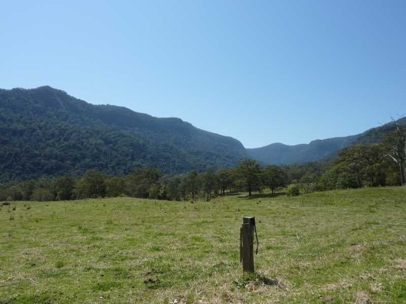 1125 Green Pigeon Road, Green Pigeon Via, Kyogle NSW 2474