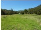 1125 Green Pigeon Road, Green Pigeon Via, Kyogle NSW 2474