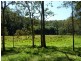 1125 Green Pigeon Road, Green Pigeon Via, Kyogle NSW 2474