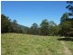 1125 Green Pigeon Road, Green Pigeon Via, Kyogle NSW 2474