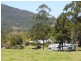 1125 Green Pigeon Road, Green Pigeon Via, Kyogle NSW 2474
