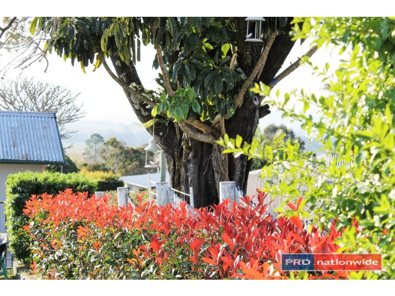 17 Gardner Lane, Kyogle NSW 2474