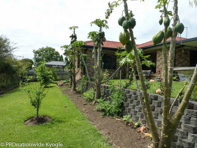 19 Kamala Avenue, Kyogle NSW 2474