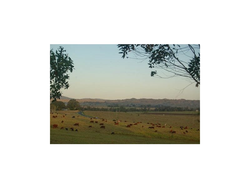 230 McDonalds Bridge Road Stratheden, Kyogle NSW 2474