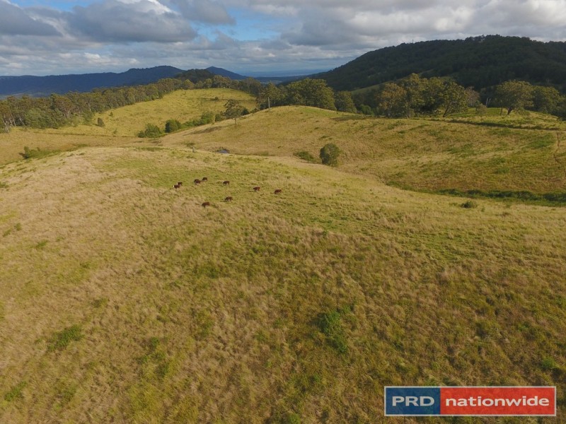 525 Sargents Road, Kyogle NSW 2474