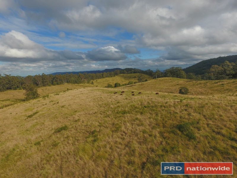 525 Sargents Road, Kyogle NSW 2474