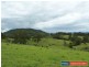 525 Sargents Road, Kyogle NSW 2474
