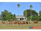 12843 Summerland Way, Cedar Point Via, Kyogle NSW 2474
