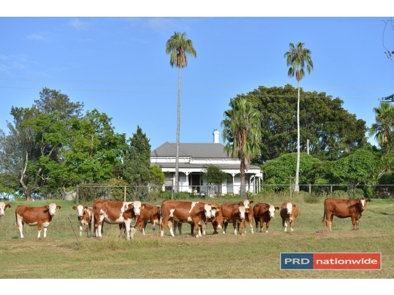 12843 Summerland Way, Cedar Point Via, Kyogle NSW 2474