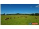 12843 Summerland Way, Cedar Point Via, Kyogle NSW 2474
