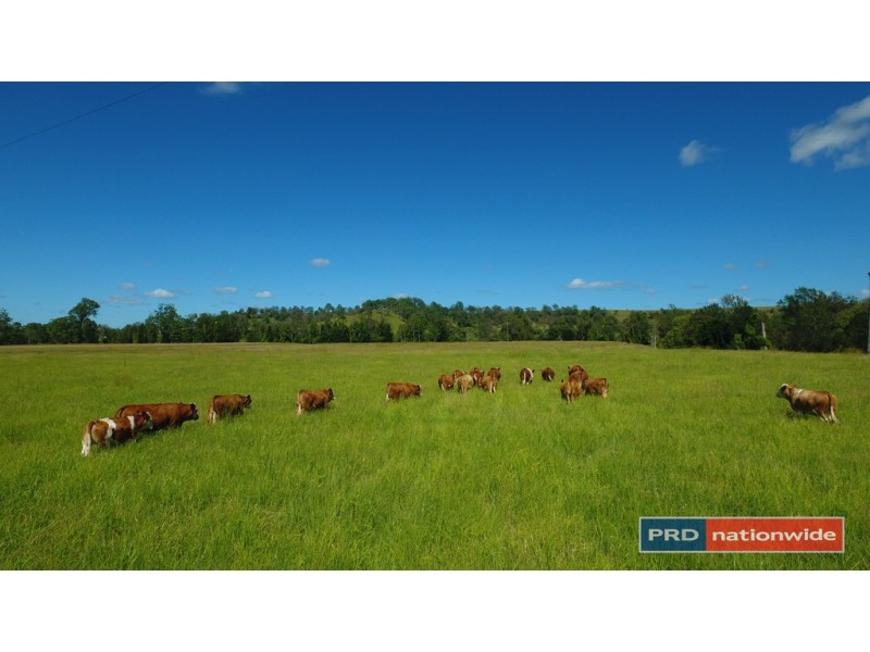 12843 Summerland Way, Cedar Point Via, Kyogle NSW 2474
