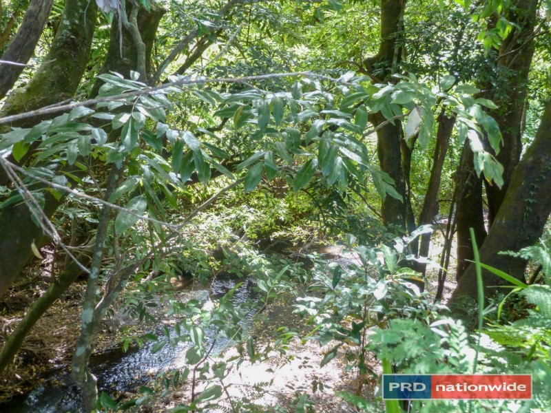 2922 Bentley Road, Kyogle NSW 2474