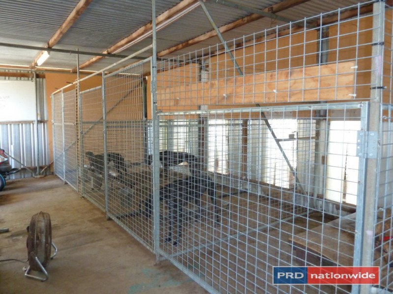 2922 Bentley Road, Kyogle NSW 2474