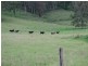 845 Eden Creek Road Upper Eden Creek Via, Kyogle NSW 2474