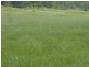 700 Reynolds Road Backmede Via, Kyogle NSW 2474