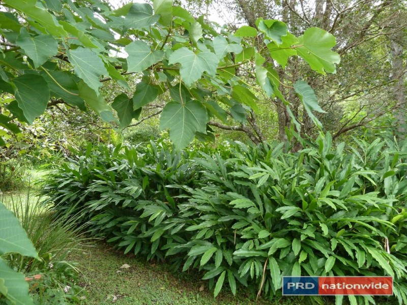 5327 Kyogle Road, Cawongla via, Nimbin NSW 2480