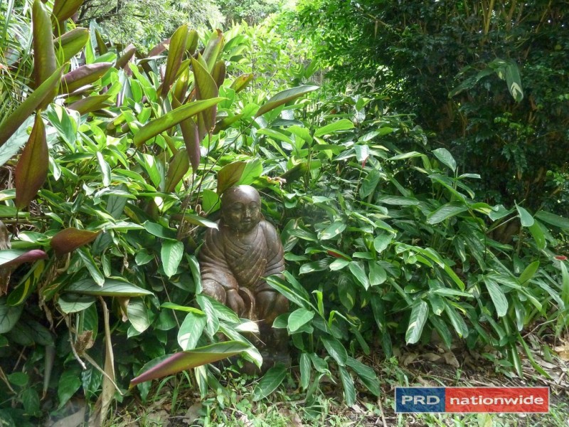 5327 Kyogle Road, Cawongla via, Nimbin NSW 2480