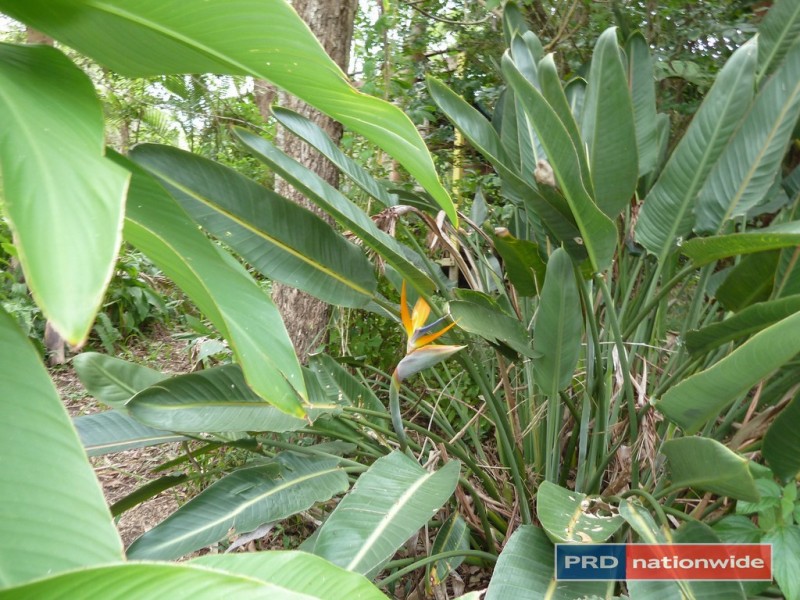 5327 Kyogle Road, Cawongla via, Nimbin NSW 2480