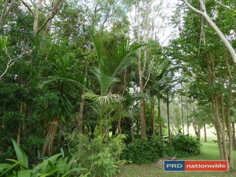 5327 Kyogle Road, Cawongla via, Nimbin NSW 2480