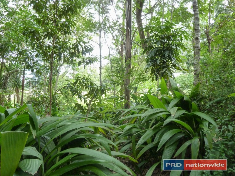 5327 Kyogle Road, Cawongla via, Kyogle NSW 2474