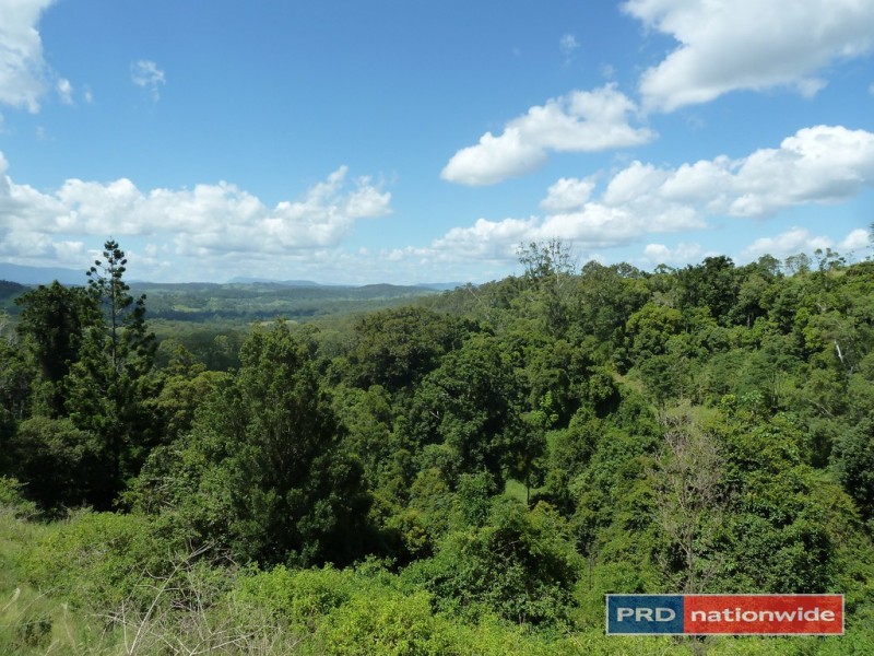 1581 Afterlee Road, Kyogle NSW 2474