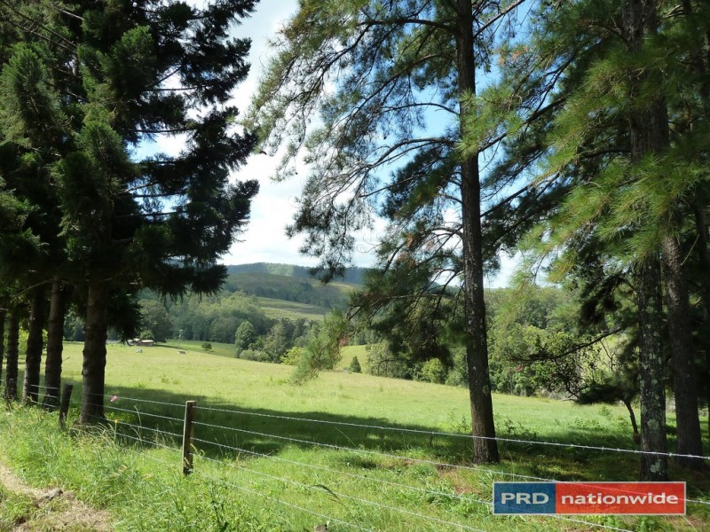 1581 Afterlee Road, Kyogle NSW 2474