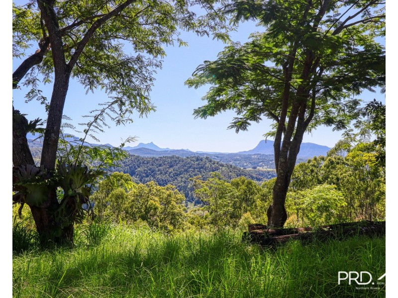 5567 Kyogle Road, Cawongla NSW 2474