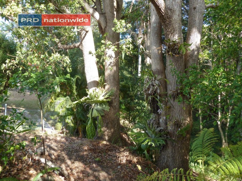 35 Kyogle Road, Kyogle NSW 2474