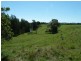 12509 Summerland Way, Kyogle NSW 2474