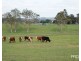 184 Pines Road, Ettrick NSW 2474