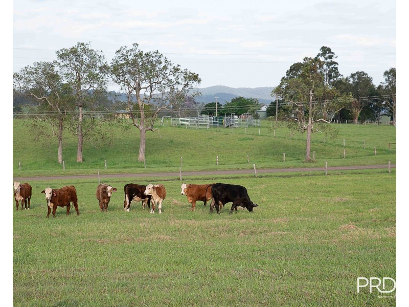 184 Pines Road, Ettrick NSW 2474
