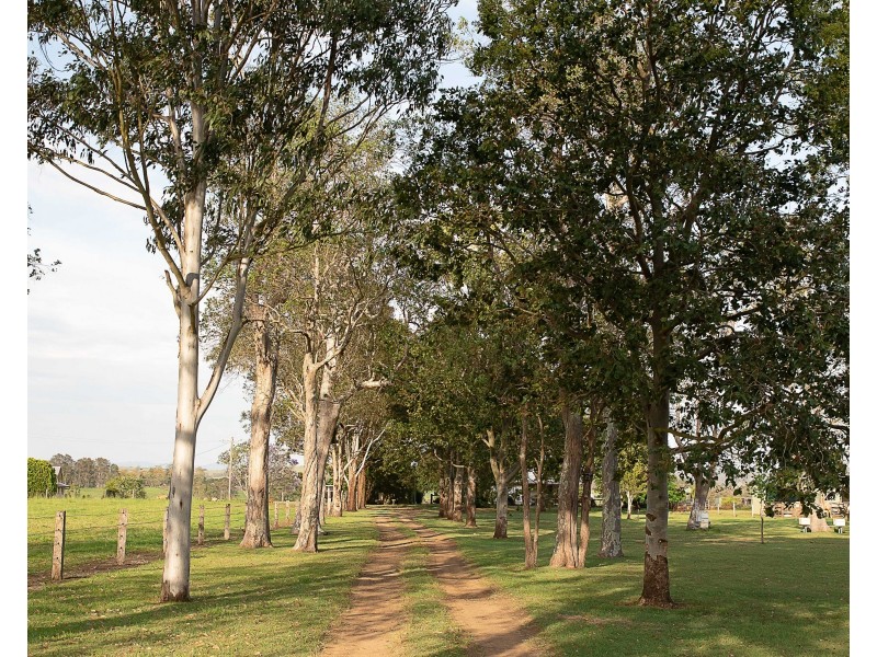 184 Pines Road, Ettrick NSW 2474
