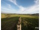 184 Pines Road, Ettrick NSW 2474