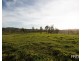 184 Pines Road, Ettrick NSW 2474
