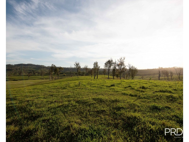 184 Pines Road, Ettrick NSW 2474