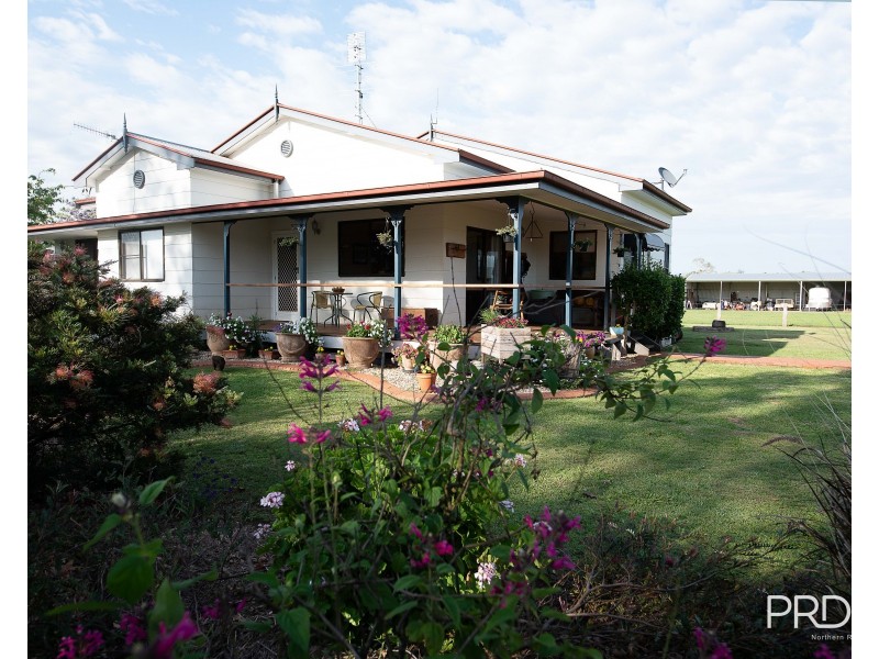 184 Pines Road, Ettrick NSW 2474