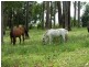 115 Runnymede Road, Kyogle NSW 2474