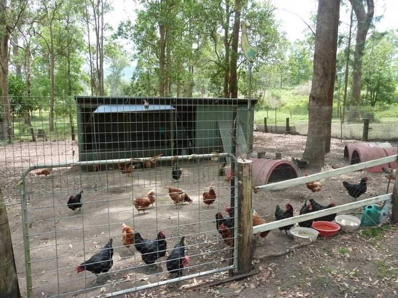 115 Runnymede Road, Kyogle NSW 2474