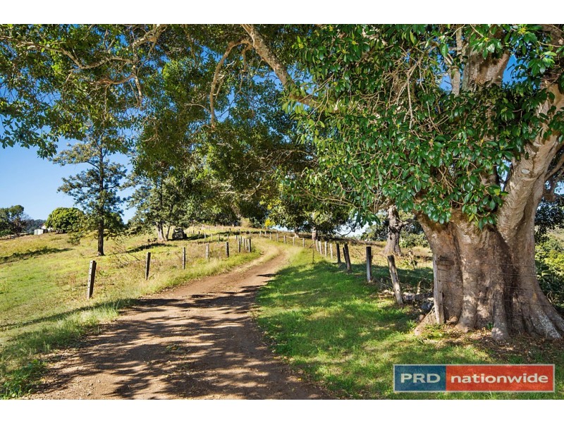 650 Cawongla Road, Larnook Via, Kyogle NSW 2474