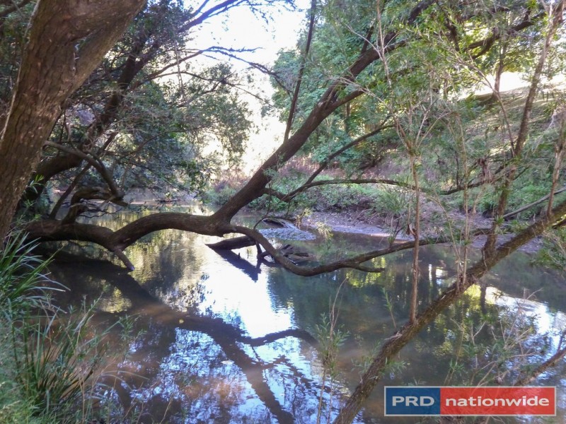 650 Cawongla Road, Larnook Via, Kyogle NSW 2474