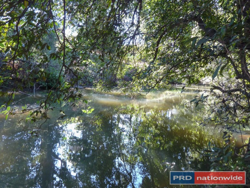 650 Cawongla Road, Larnook Via, Kyogle NSW 2474