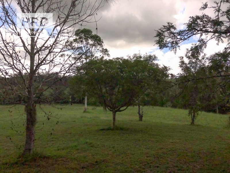 227 Killaloe Road, Green Pigeon NSW 2474