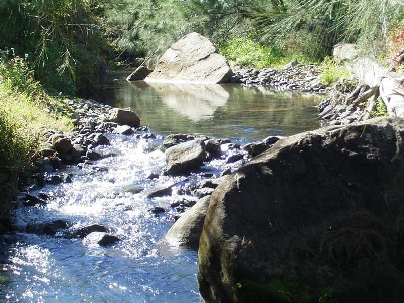 451 Smiths Creek Road, Kyogle NSW 2474
