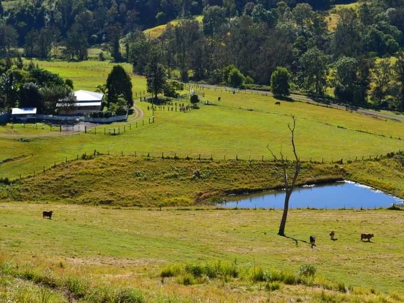 451 Smiths Creek Road, Kyogle NSW 2474