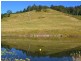 451 Smiths Creek Road, Kyogle NSW 2474