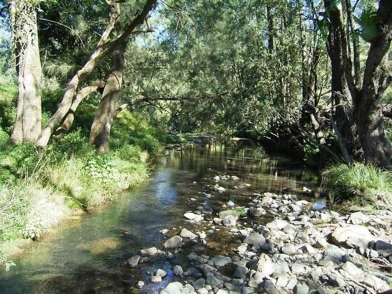 451 Smiths Creek Road, Kyogle NSW 2474