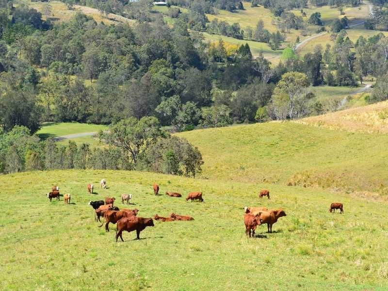 399 Smiths Creek Road, Kyogle NSW 2474